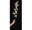 Květy zlaté orchideje, délka cca 90 cm