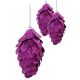 fuchsiové