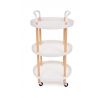 Multifunkční stabilní pojízdný vozík MULTI-TROLLEY 3 patrový