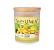 250 ml sójová vonná eko-svíce, YLANG YLANG, PARFUMIA