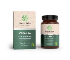 GREEN IDEA Čekanka