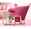 55 ml votivní sójová eko-svíce, RED VELVET, PARFUMIA
