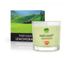 55 ml votivní sójová eko-svíce, LEMONGRASS, PARFUMIA®