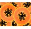 AQUATIX BALSAM, čerstvá papaya