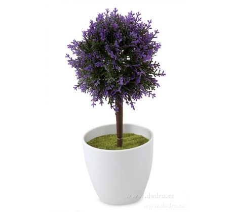 fialový