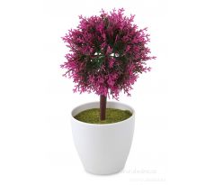 fuchsiový