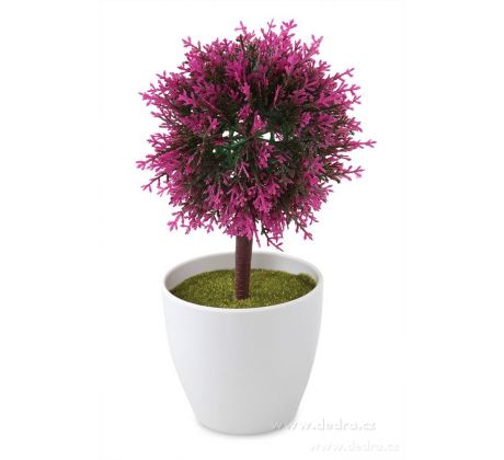 fuchsiový