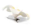 3ks dekorativní květ, plumeria alba