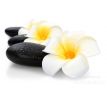 3ks dekorativní květ, plumeria alba