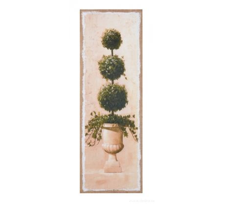 Obraz na jutovém plátně, Buxus kulatý