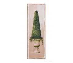 Obraz na jutovém plátně, Buxus homole