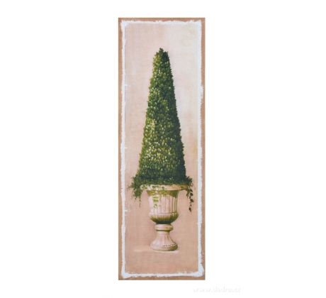 Obraz na jutovém plátně, Buxus homole