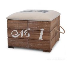 KŮŇ SVĚTLÝ