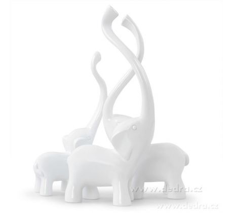 slonů white