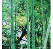 Sada 3 obrazů, BAMBOO