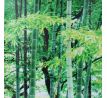 Sada 3 obrazů, BAMBOO