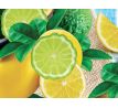EKO koncentrát na ruční mytí nádobí, ECOBALSAM AQUATIX® bergamot & lemon, s pumpičkou