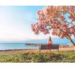 Bublino MAGNOLIA, tekuté mýdlo na tělo a ruce, s pumpičkou