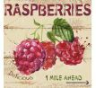RASPBERRIES, 28 x 28 cm