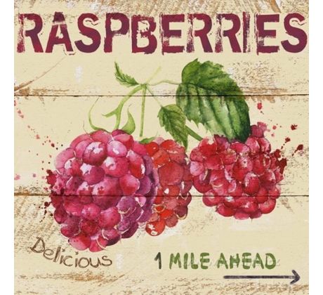RASPBERRIES, 28 x 28 cm