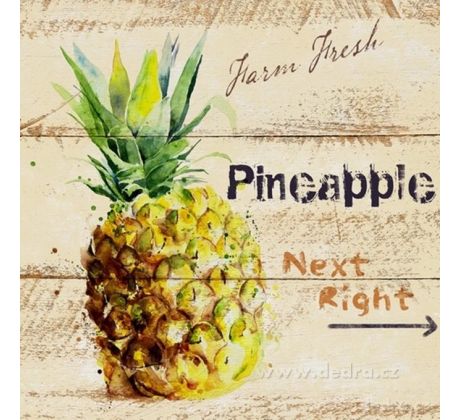 PINEAPPLE, 28 x 28 cm