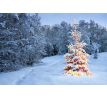 Parfémová esence CHRISTMAS DREAM do aromalamp a difuzérů