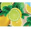 EKO koncentrát na ruční mytí nádobí, ECOBALSAM AQUATIX® BERGAMOT & LEMON