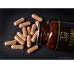 90 kapslí REISHI 500 mg
