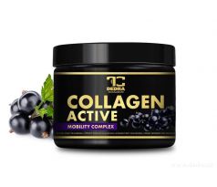 COLLAGEN ACTIVE | synergický nápoj pro klouby, kosti a aktivní život s Fortigel B, vitaminem C, zinkem a kyselinou hyaluronovou