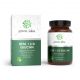 Green idea Beta 1,3 D Glucan - tobolky