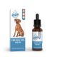 Green idea CBD olej 10% pre psov
