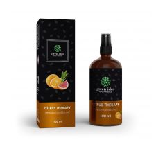 Green idea CITRUS THERAPY - přírodní osvěžovač vzduchu