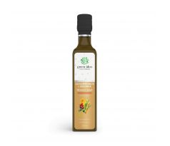 Green idea Lichořeřišnice+brusinka sirup - třtinový
