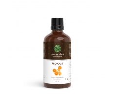 Green idea Propolis tinktura - kapky 50 ml