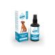 Green idea STOMACLEAN pro psy