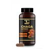 CHAGA 510 mg | 50 % polysacharidů + 20 % beta-glukanů | podpora imunity & antioxidanty | 90 kapslí