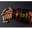 CHAGA 510 mg | 50 % polysacharidů + 20 % beta-glukanů | podpora imunity & antioxidanty | 90 kapslí