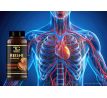REISHI SUPREME 505 mg | 50 % polysacharidů a 20 % beta-glukanů | imunita, vitalita a oběhový systém | 90 kapslí