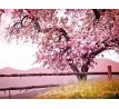 L´AVIVAGE avivážní kondicionér, mon cherry