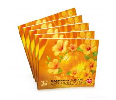 hlavní katalog