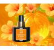 MANDARINE FLORALE | Eau de Parfum (EDP) | 100 ml