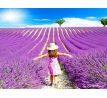 AROMALAMPA ZDARMA | sada 3 aroma esencí | PARFUMIA®
