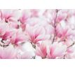 Vonná sašetka | MAGNOLIA WOOD | závěsný vonný sáček PARFUMIA® k.c. FC33411H